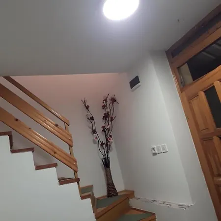 Yellow House