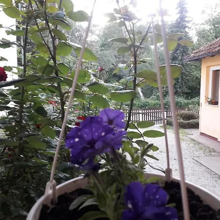 Yellow House * Visoko